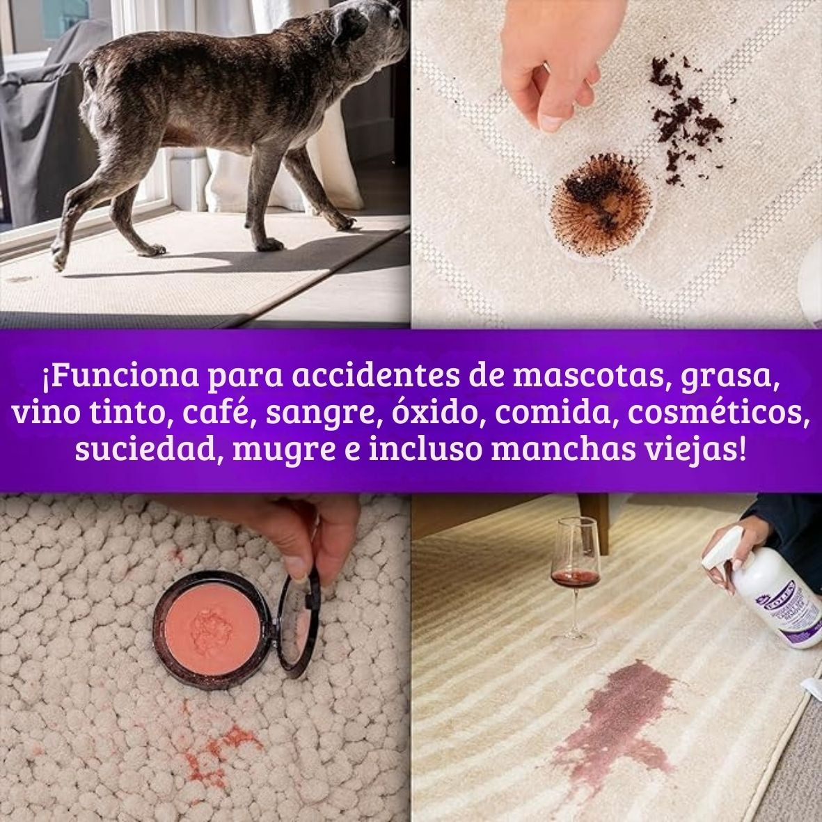 FOLEX® Spray limpiador profesional